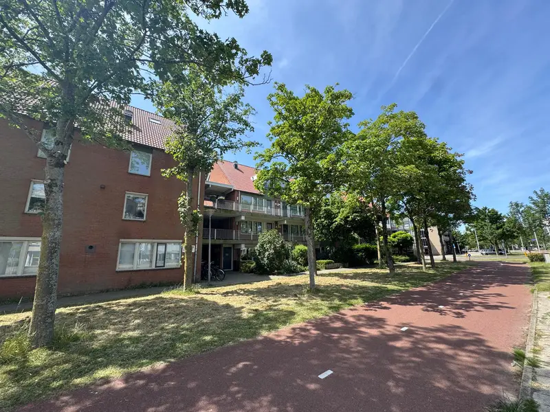 recent house