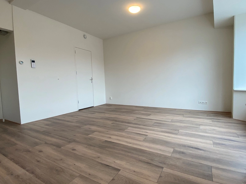 House Image 5