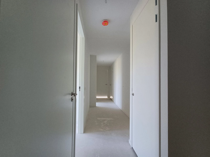 House Image 4