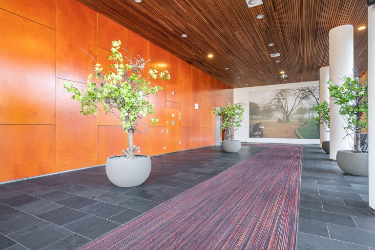House Image 5