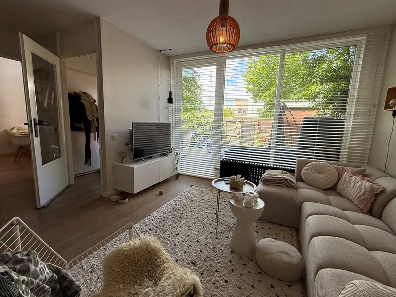 House Image 5
