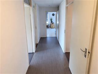 House Image 3