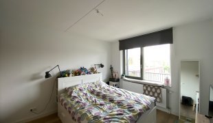 House Image 5