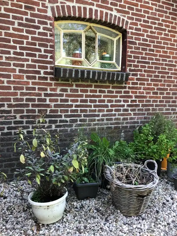 House Exterior