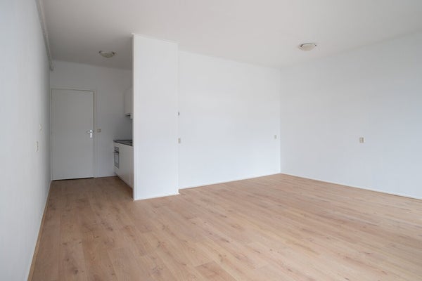 House Image 4