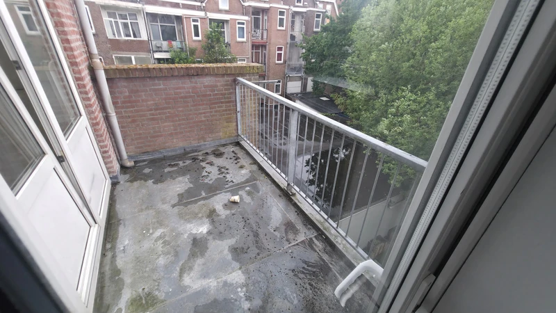 House Image 4