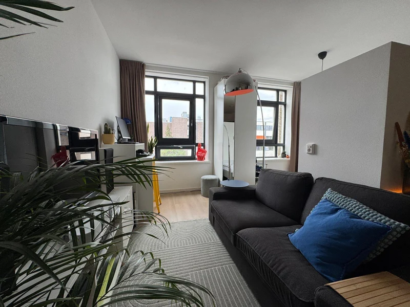 House Image 4