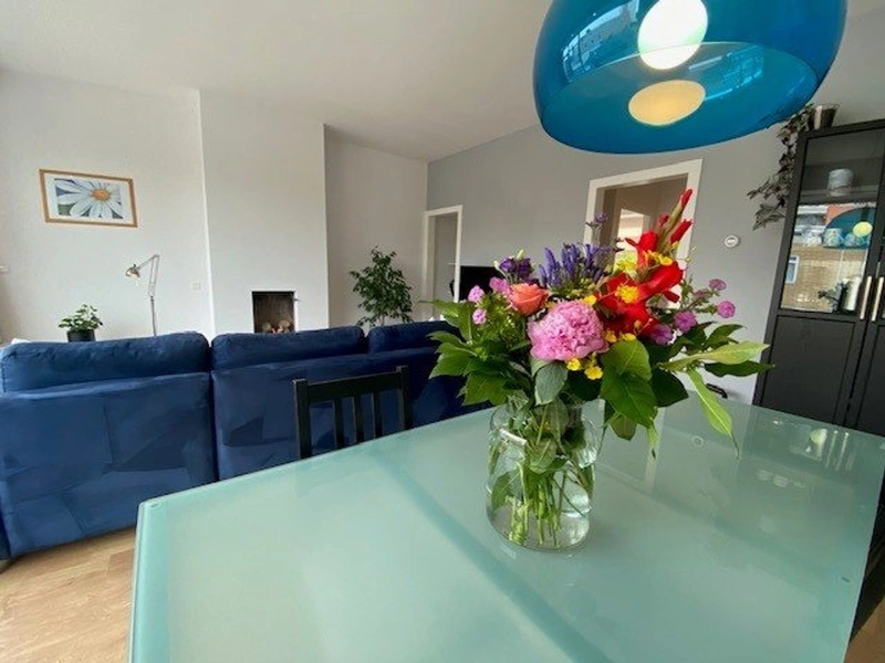 House Image 4