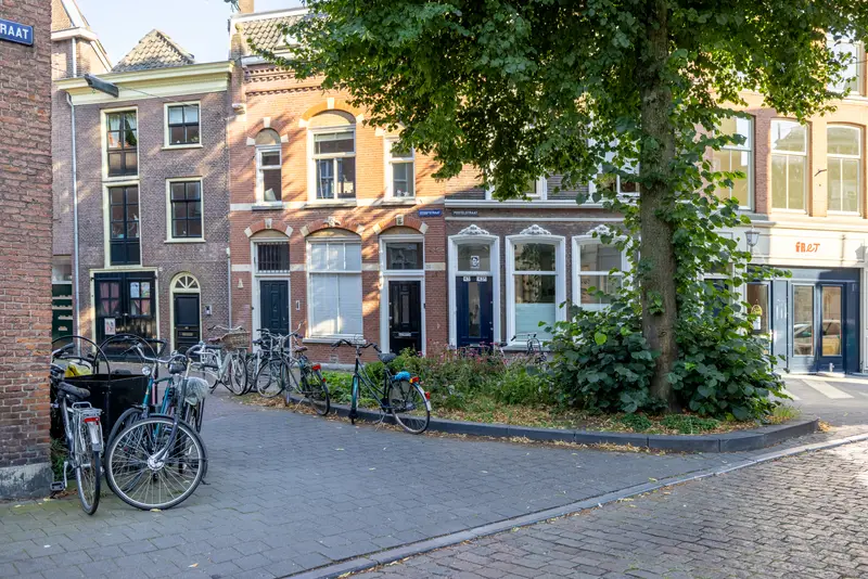 House Exterior