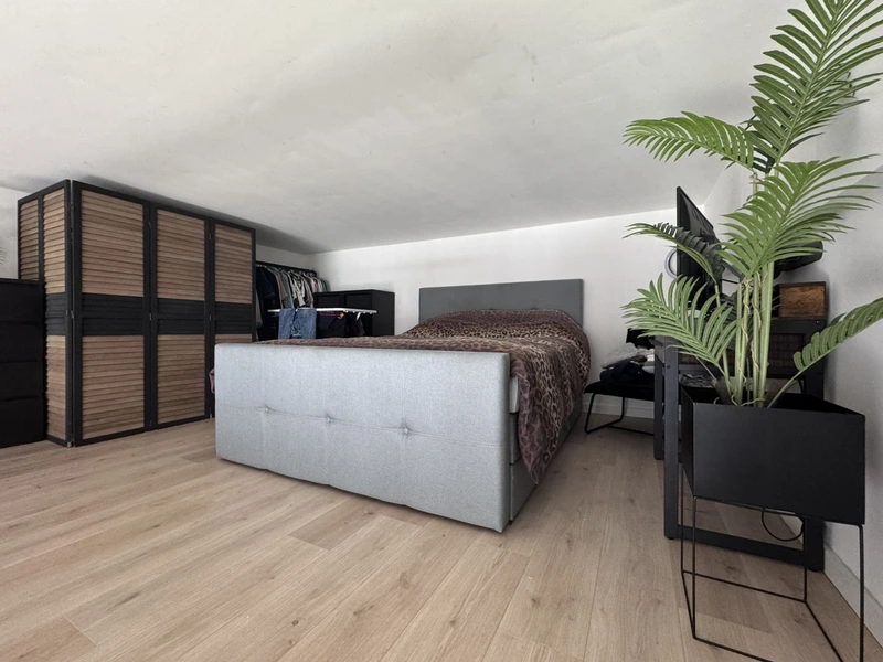 House Image 4