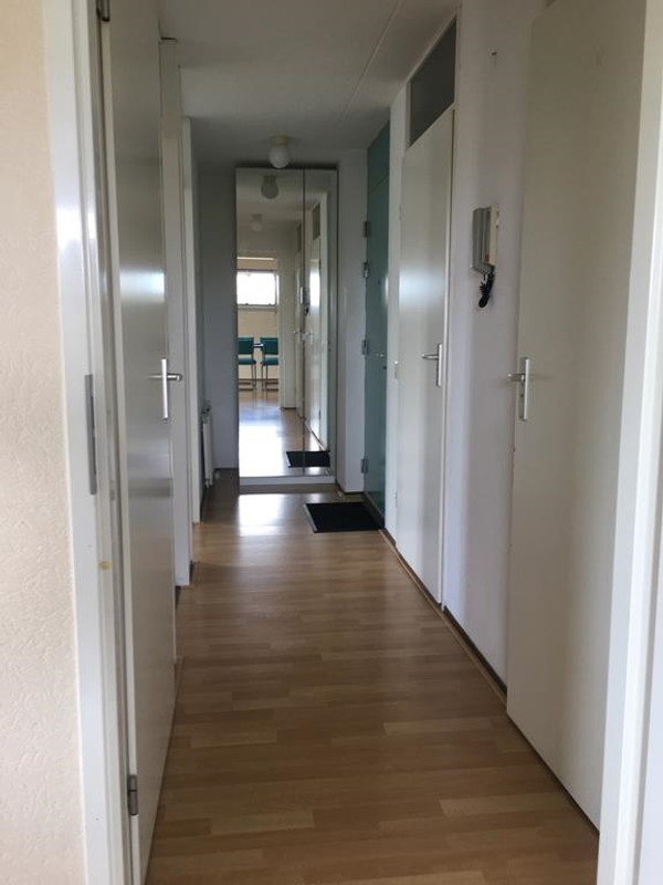 House Image 4