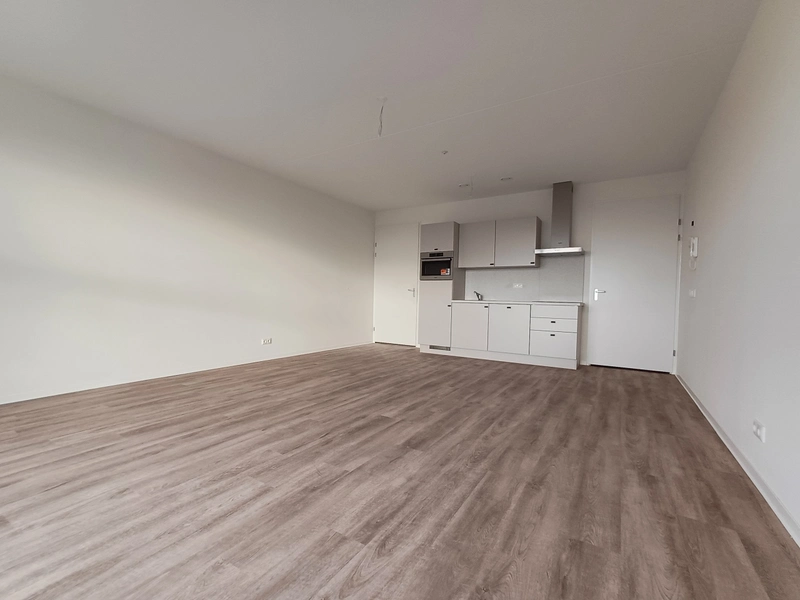 House Image 4