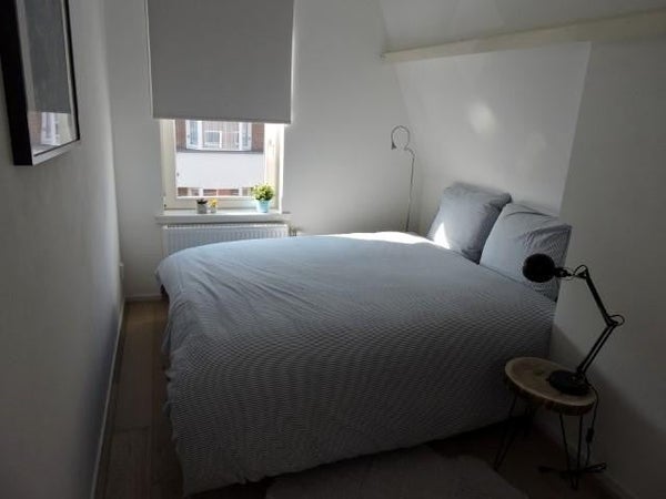 House Image 5