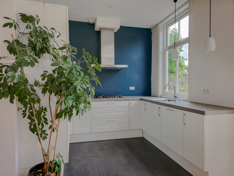 House Image 4