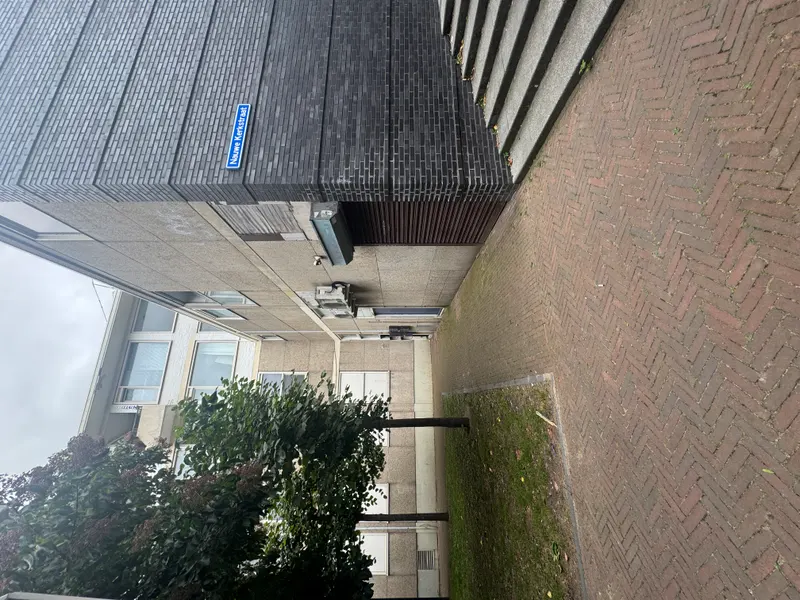 House Image 2