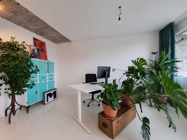 House Image 4