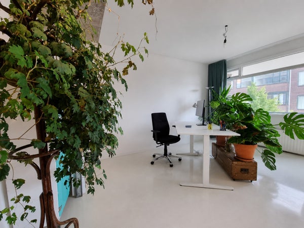 House Image 5