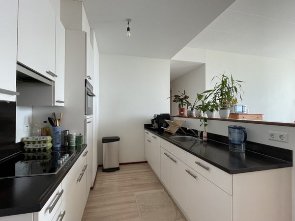 House Image 3