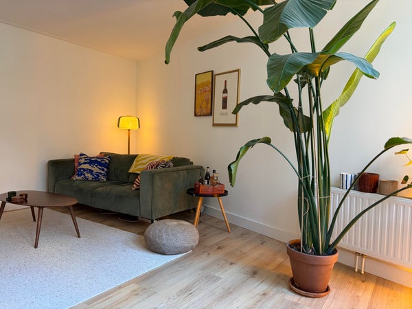 House Image 3