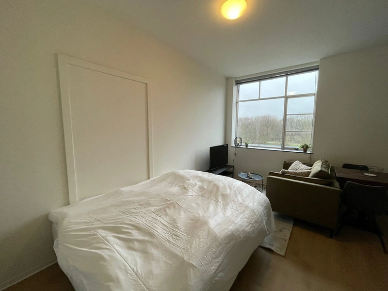 House Image 4