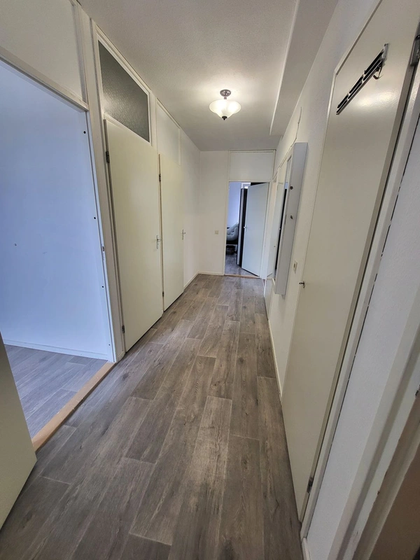 House Image 4