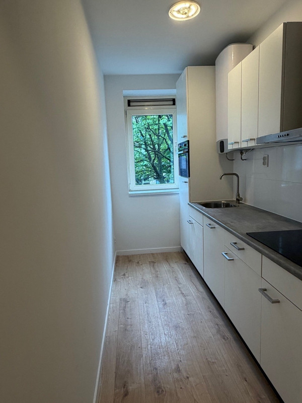 House Image 3