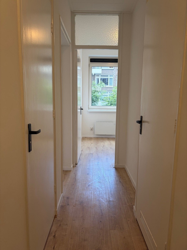 House Image 5