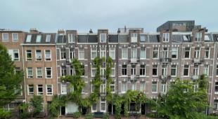 House Image 3