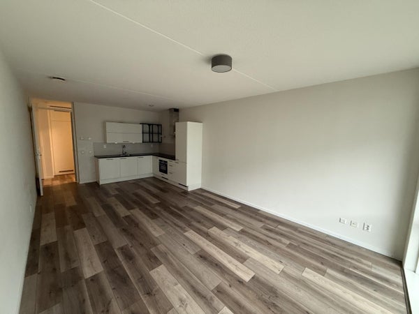 House Image 4