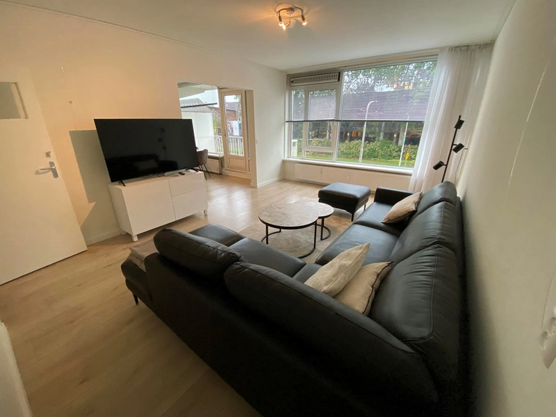 House Image 3