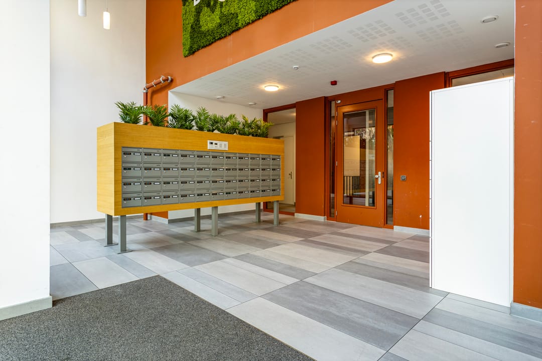 House Image 3