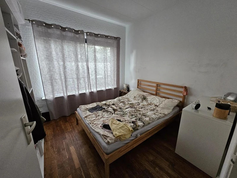 House Image 5