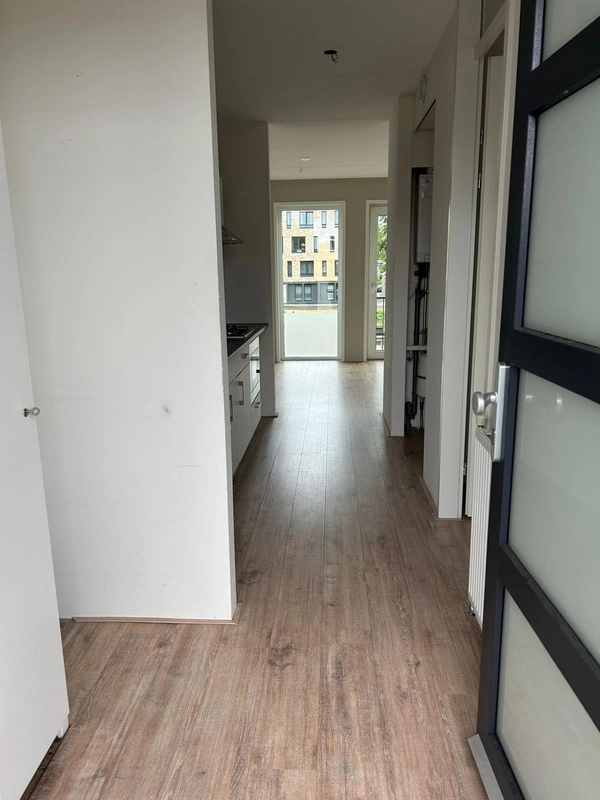 House Image 3