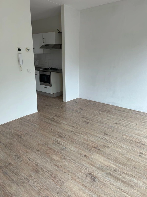 House Image 4