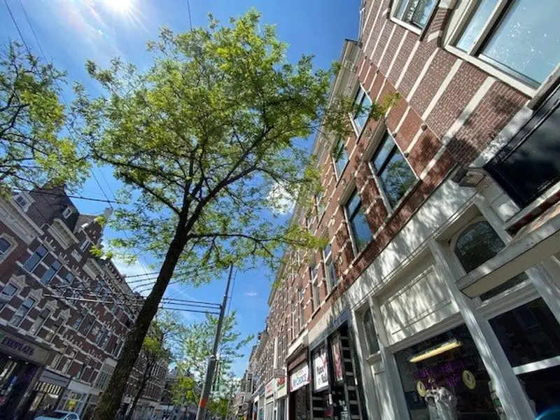 House Exterior