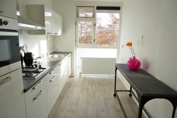 House Image 5