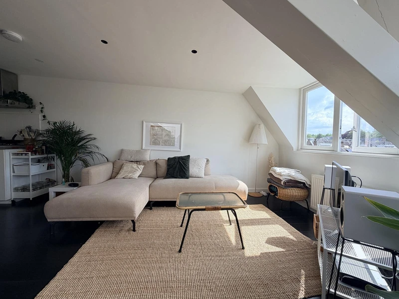 House Image 3