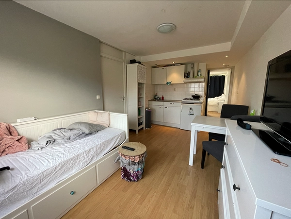 House Image 3