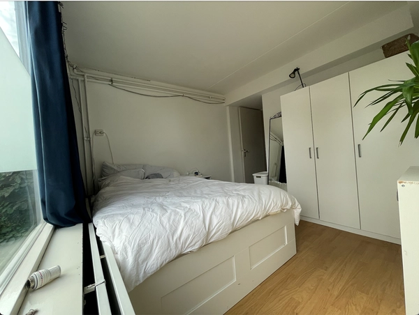 House Image 4