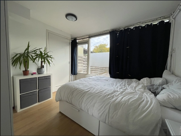House Image 5