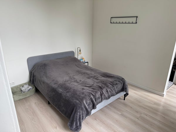 House Image 2