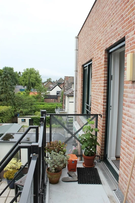 House Image 4