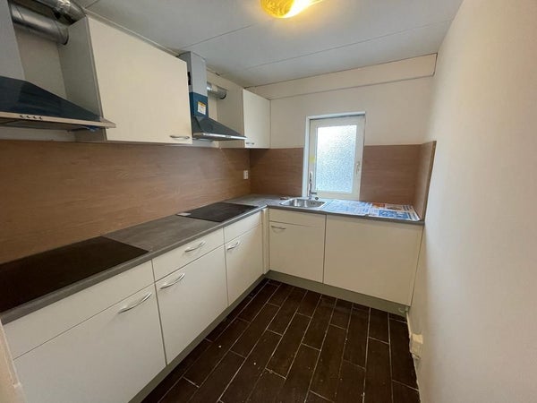 House Image 3