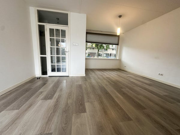 House Image 4
