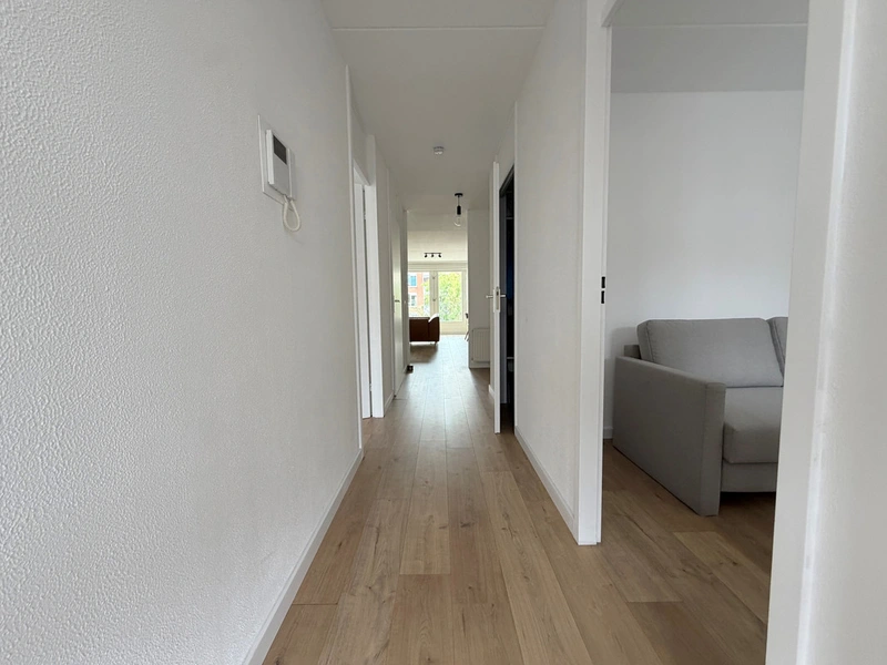 House Image 3
