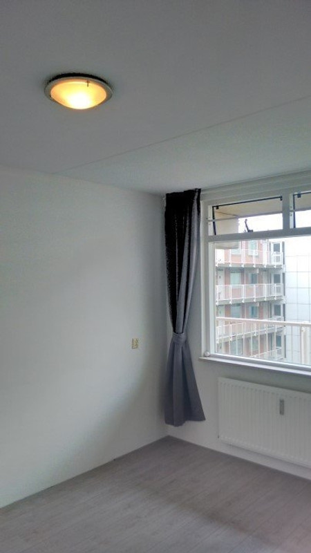 House Image 4