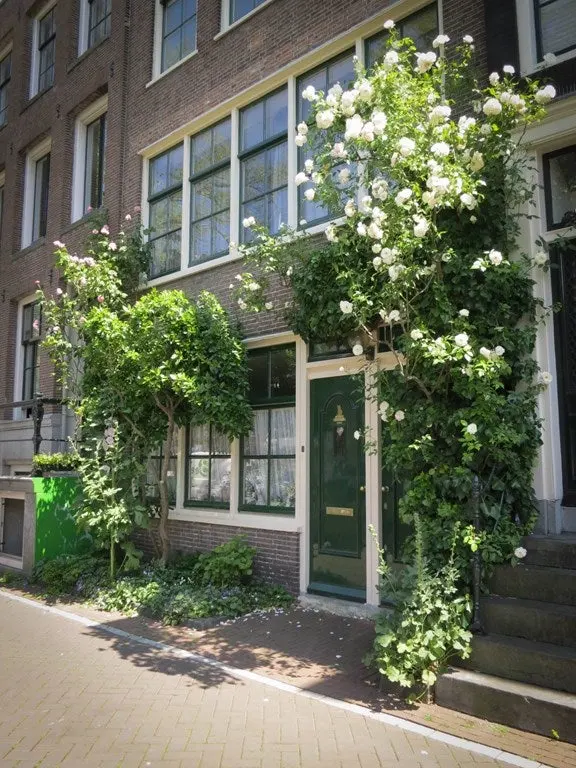recent house