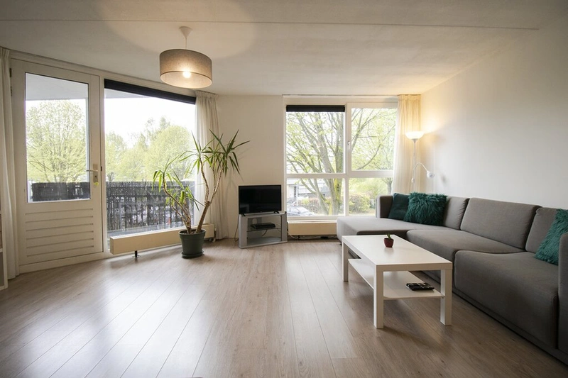 House Image 4