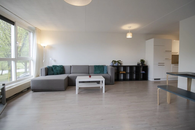 House Image 5