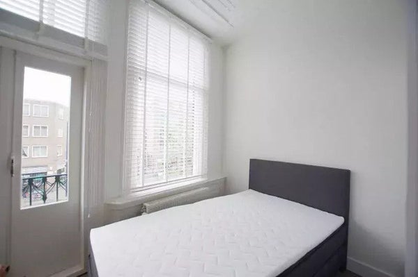 House Image 4